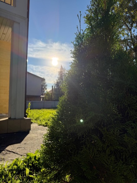 Ухоженный сад и зелёная территория пансионата Радонежское